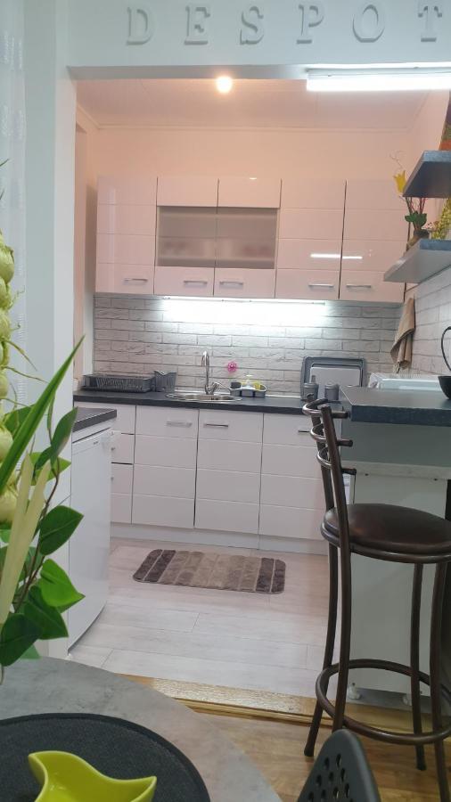 Despot Apartmani Ni 外观 照片