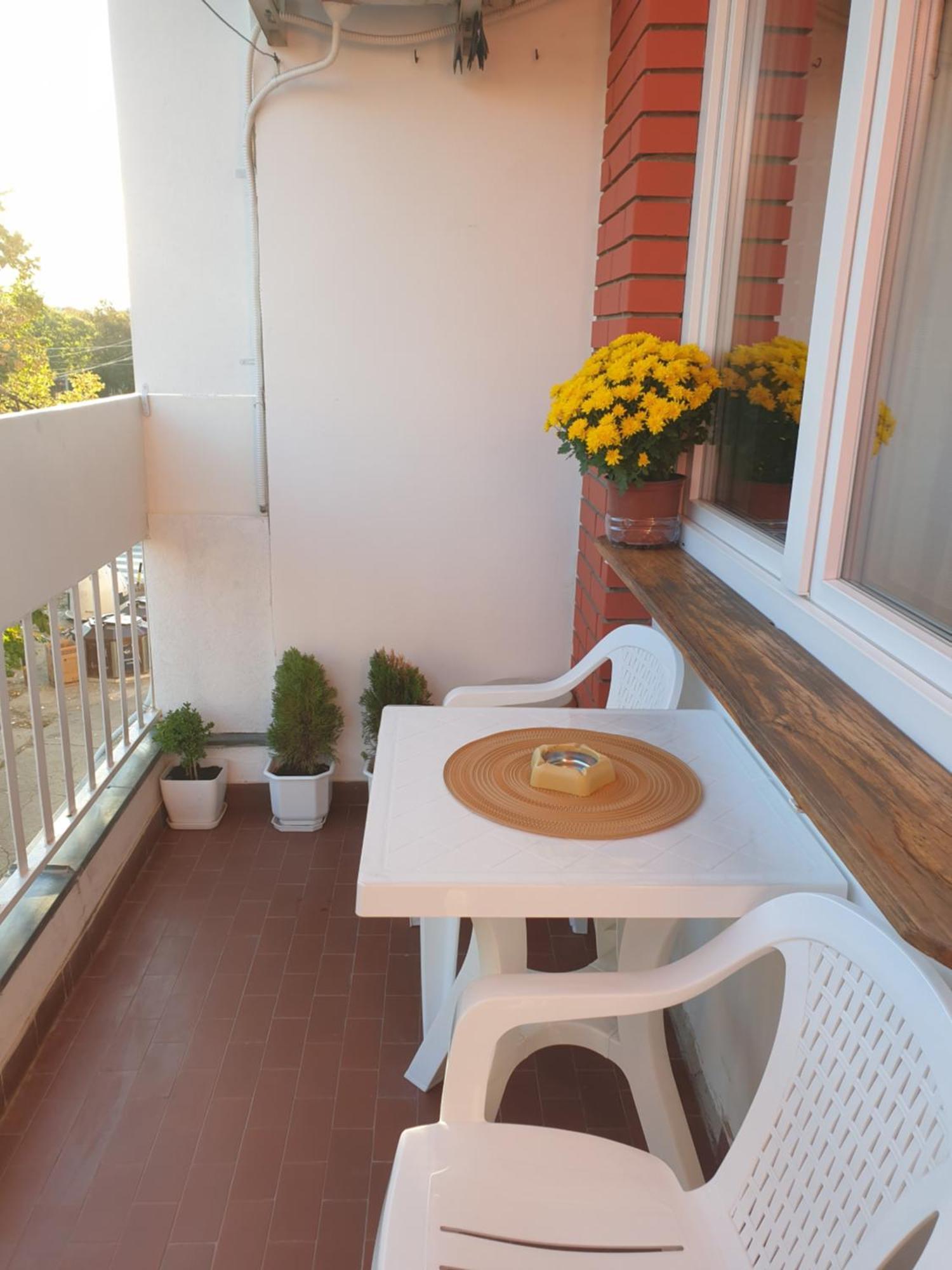 Despot Apartmani Ni 外观 照片